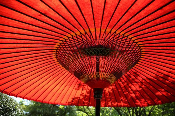 Underside of a red parasol