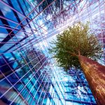 Brand image - tree growing through geometric structure